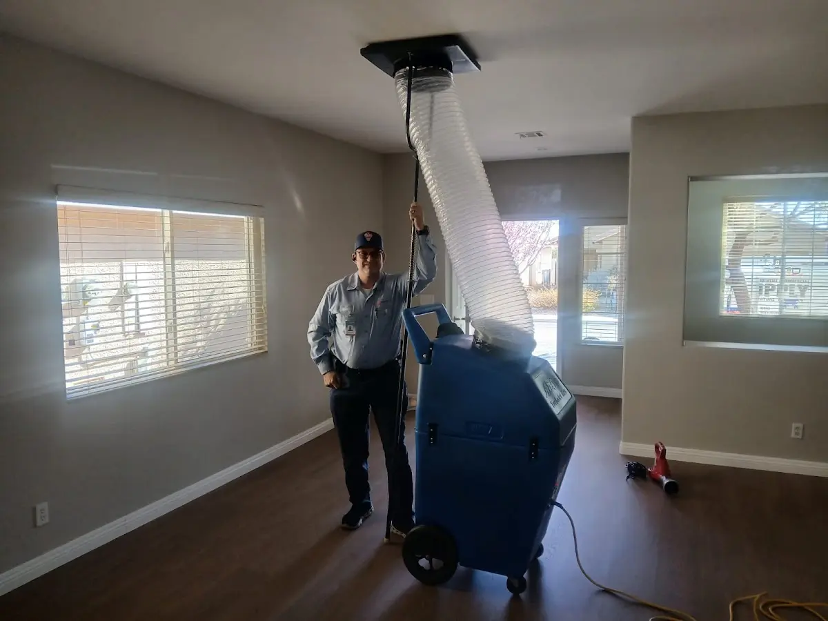 Professional Dryer Vent Cleaning work inside a Justin home